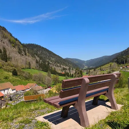 度假居 Gite Nature & Calme Au Pied Des Sentiers, 10 Km Gerardmer - 8 A 11 Pers *