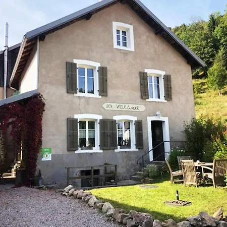 Gite Nature & Calme Au Pied Des Sentiers, 10 Km Gerardmer - 8 A 11 Pers 勒瓦伦丁