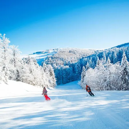 De Charme Nature, Calme, Randonnee Et Air Pur Tatil Evi Le Valtin